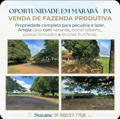 FAZENDA 28 ALQUEIRES EM MARABÁ, CERCADA, CURRAL, 2 CASAS, IDEAL PARA GADO E INVESTIMENTO!