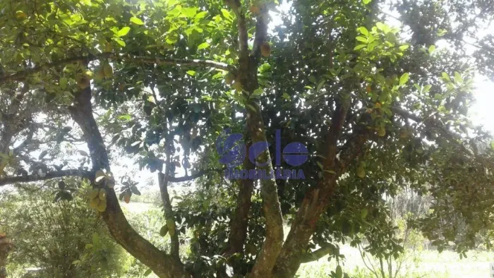 Área à venda, 25000 m² por R$ 650.000 - Zona Rural - Bofete/SP