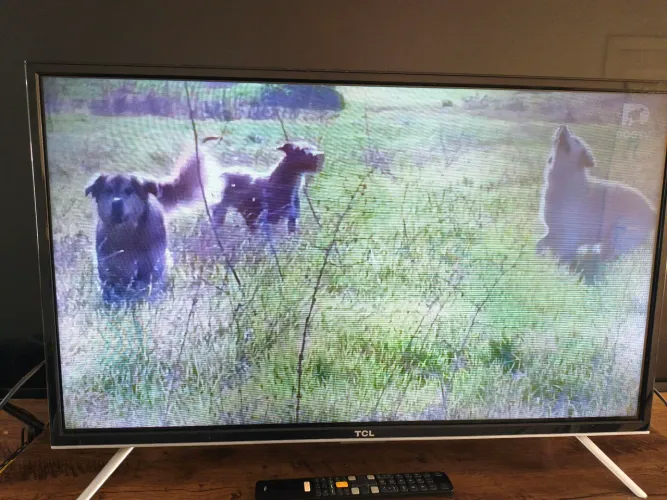TV LED 32" usado
