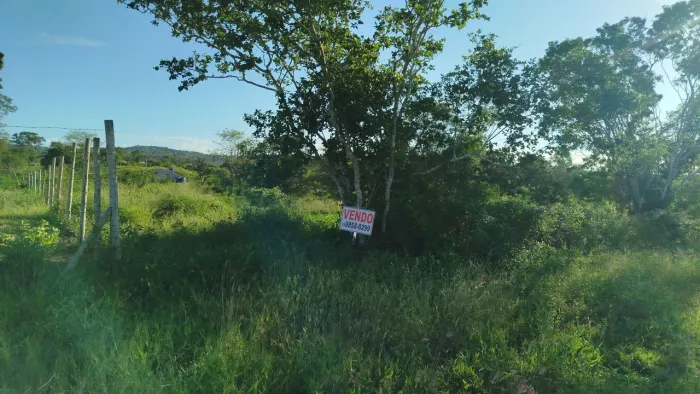  Chácaras Havana 2 Lotes de 600m pelo preço de 1