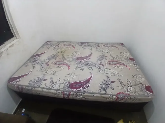 Cama