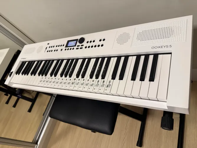 Teclado Musical Roland GO Keys 5