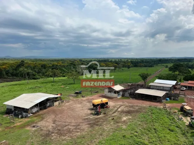 Fazenda 130 Alqueires (630 Hectares) Abreulandia - TO