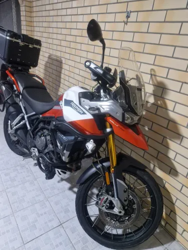 TIGER RALLY PRO