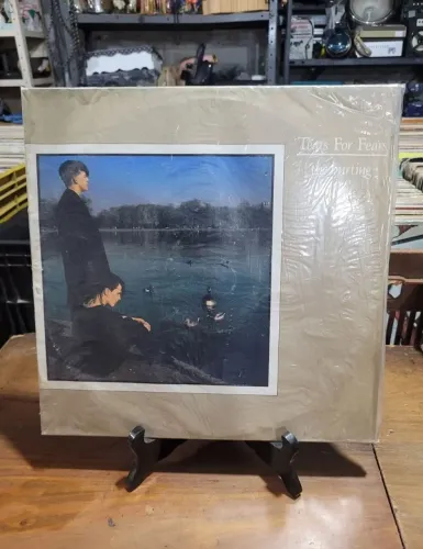 Disco de Vinil The For Fears
