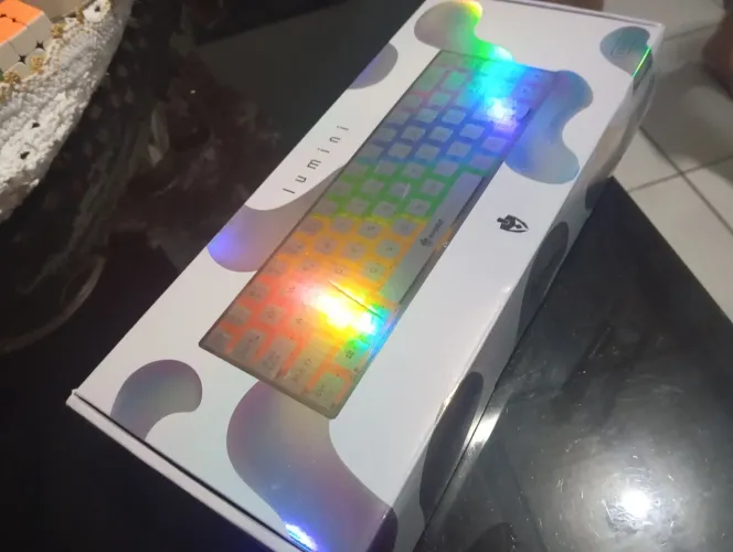 Teclado Evolut Lumini