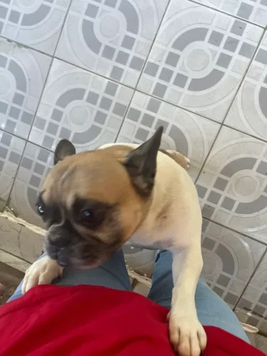 doação 