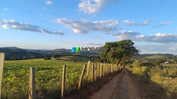 FAZENDA À VENDA - 47 HECTARES - LAVRAS (MG)