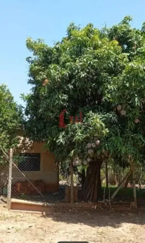 Chácara para Venda em Presidente Prudente, TIMBURI, 2 dormitórios, 1 banheiro, 2 vagas