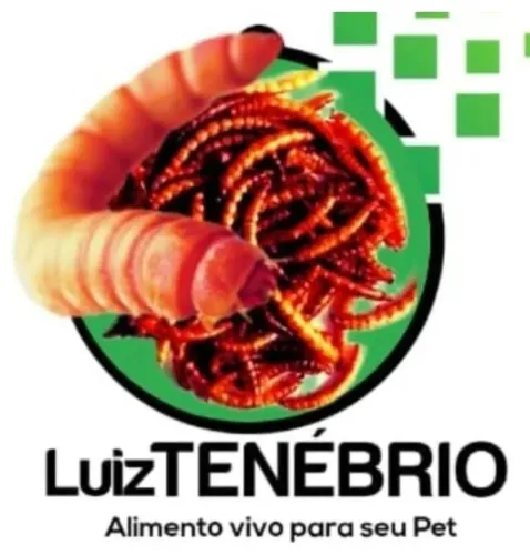 Tenebrio
