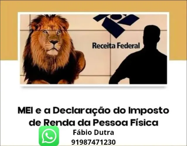 IMPOSTO DE RENDA PESSOA FÍSICA 60,00 E MEI -30,00