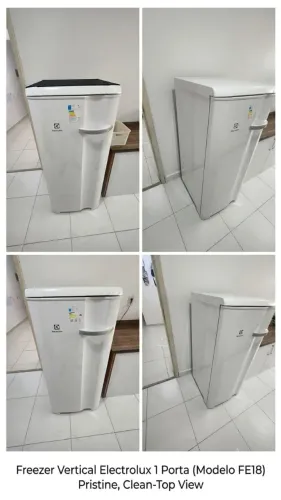 Freezer vertical
