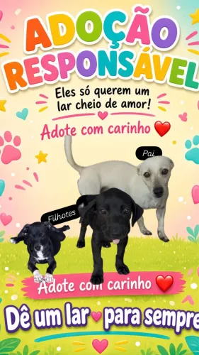 Doação de Filhotes
