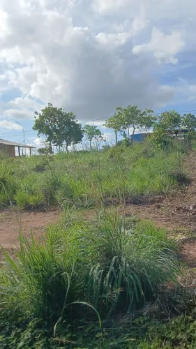 Vendo terreno no João de barro 12x25
