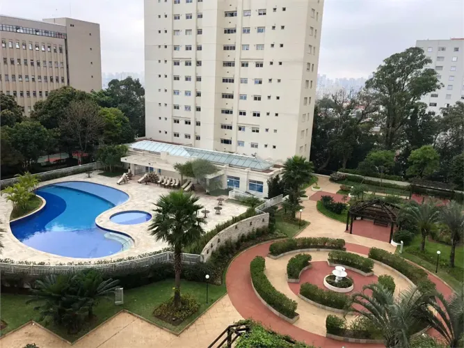Apartamento com 4 quartos à venda em Cambuci - SP