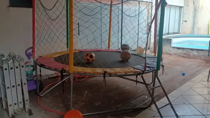 Pupa Pula