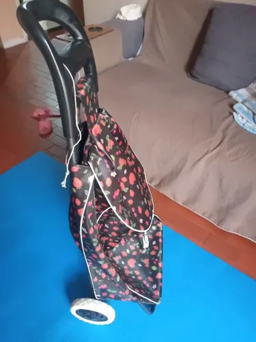 Carrinho de compras de 2 rodas