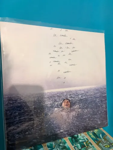 Vinil Shawn Mendes Wonder