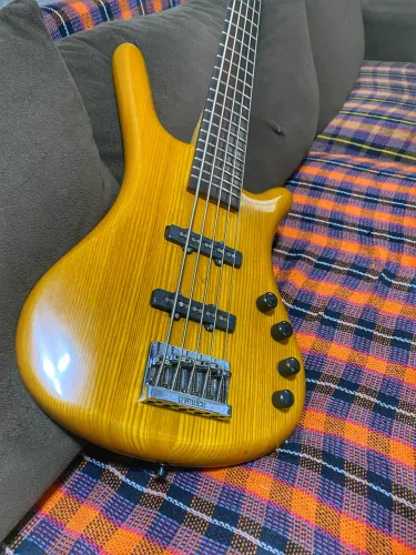 Warwick rock bass 