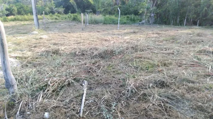 Terreno na Vila do Tepequém Com Rua Energia Água na Frente Parcelado em Ate 68 parcelas
