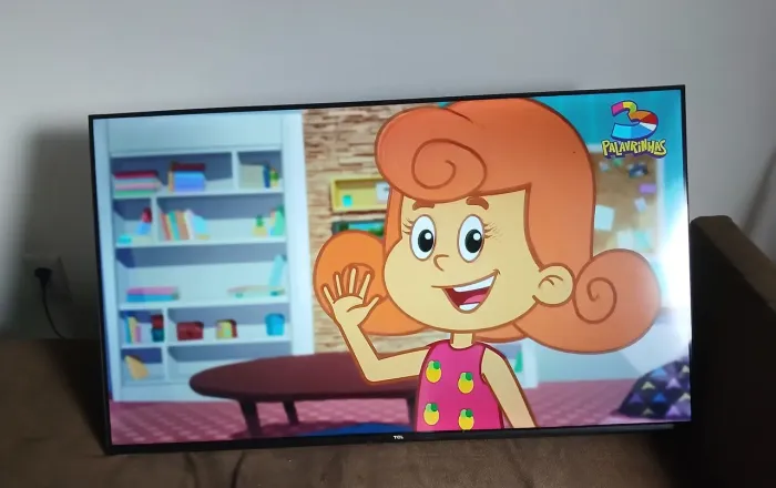 Vendo televisão