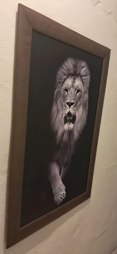 Quadro