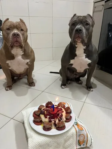 Pitmonster 
