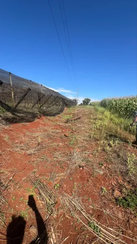 Sítio em Marialva Pr.