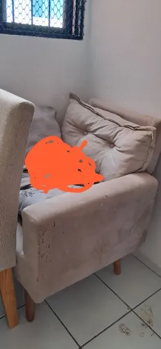 Vendo duas poltronas