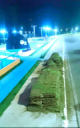 Grama para Jardim