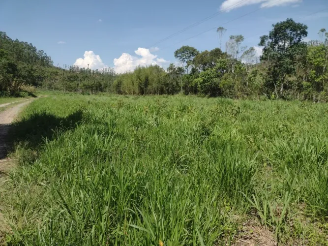 Fazenda 280,720 Hectares com Potencial para Pecuária de Corte e Leite em Guaratinguetá/SP