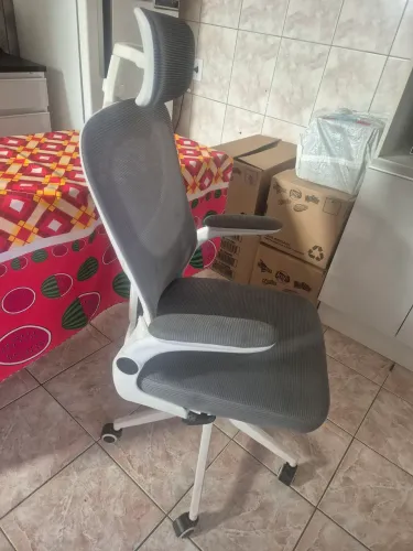 Cadeira Ergonômica 