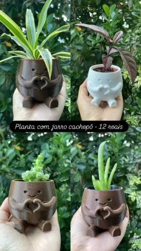 Plantas