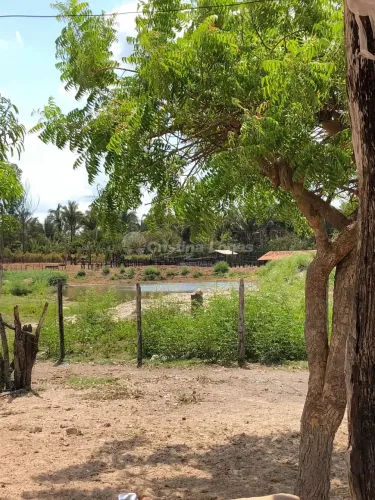 Fazenda à venda, Zona Rural, Alto Alegre do Maranhão, MA