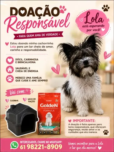 Adoção responsável - Cadelinha Lola