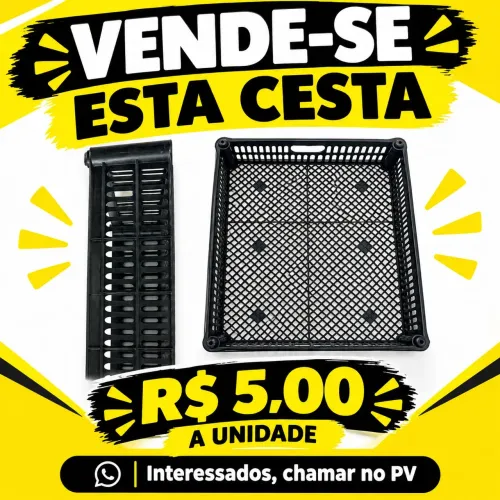 Cesta