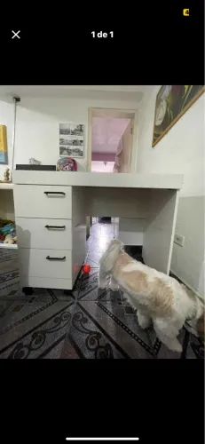 Vende se