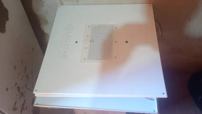 Vendo essas lâmpadas