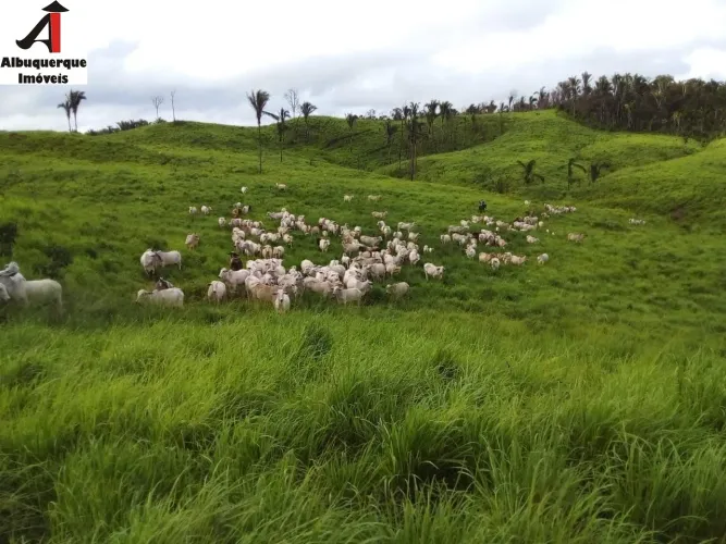 FAZENDA RURAL em SANTA LUZIA - MA, SANTA LUZIA