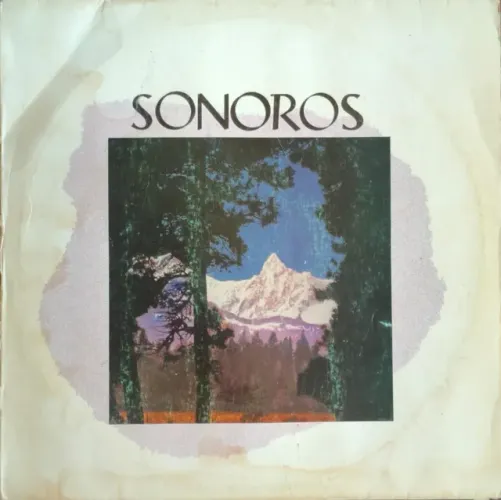 Lp Disco De Vinil Gospel Evangélico - Conjunto Sonoros