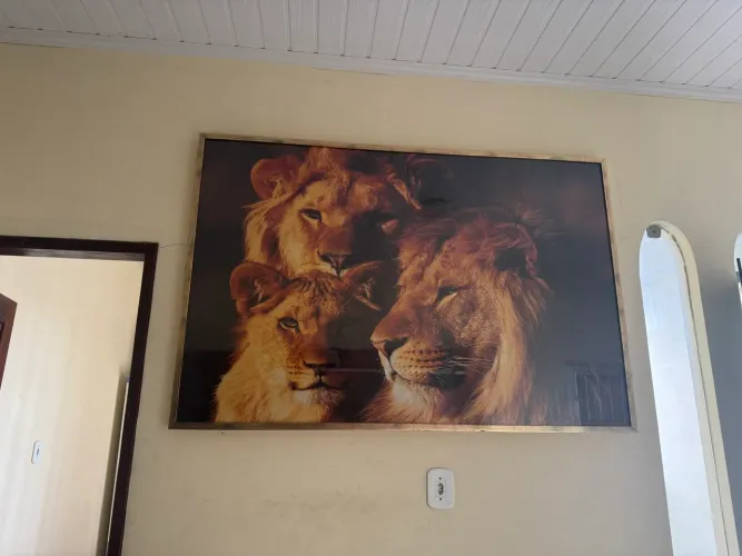 Quadro madeira maciça