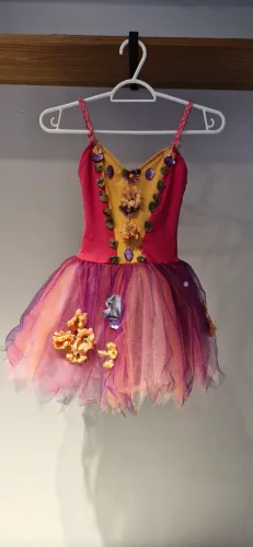 Vestido de Bailarina Infantil Colorido e Encantador