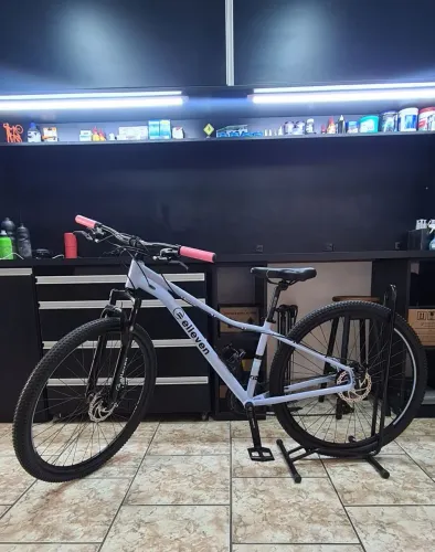 Bike Elleven 29