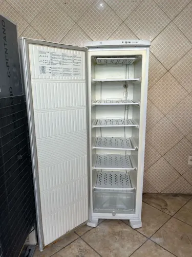 Freezer Vertical Electrolux 