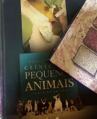 Clínica de Pequenos Animais