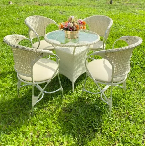 CONJUNTO BRASIL