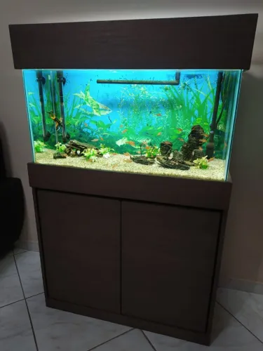 Aquário de água doce 100 litros