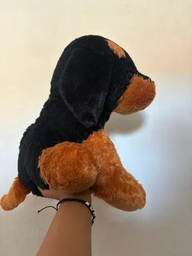 Pelúcia