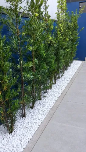 Manutenção de jardim, poda e rocagem