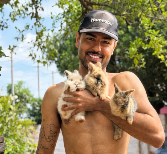 Vende se Coelho filhote Mini Lion
